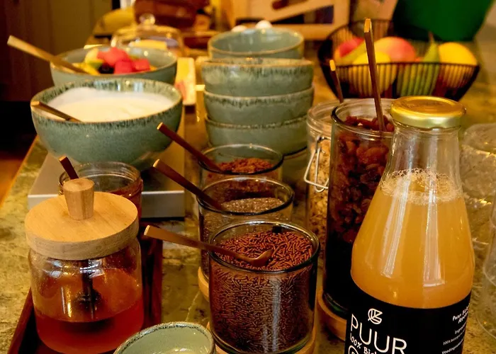 فندق Arq Paleis لاهاي