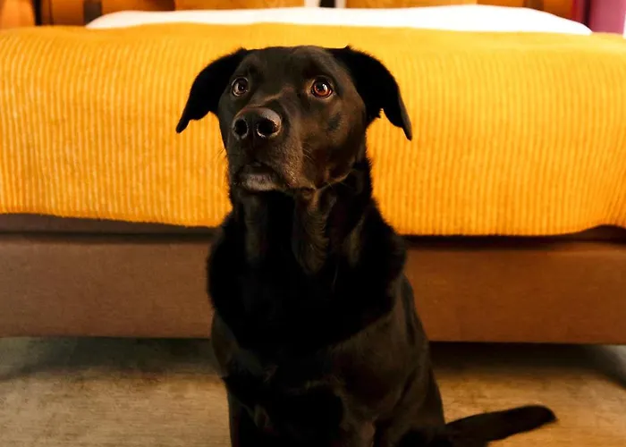 Hotel Arq Paleis La Haya