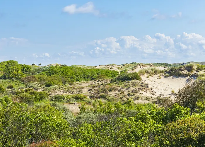 Arq Paleis 4* The Hague